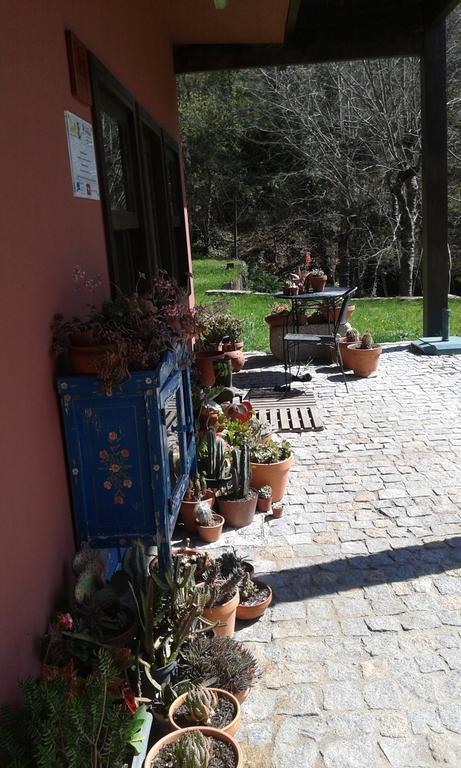 Hotel Eco Camping Juncal Marco de Canavezes Exteriér fotografie