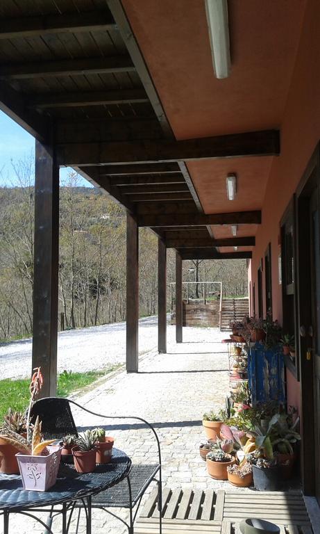 Hotel Eco Camping Juncal Marco de Canavezes Exteriér fotografie
